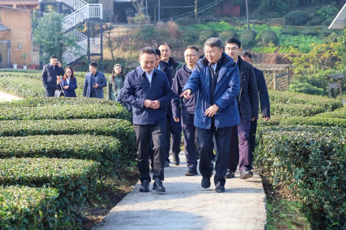 調(diào)研1 調(diào)研1